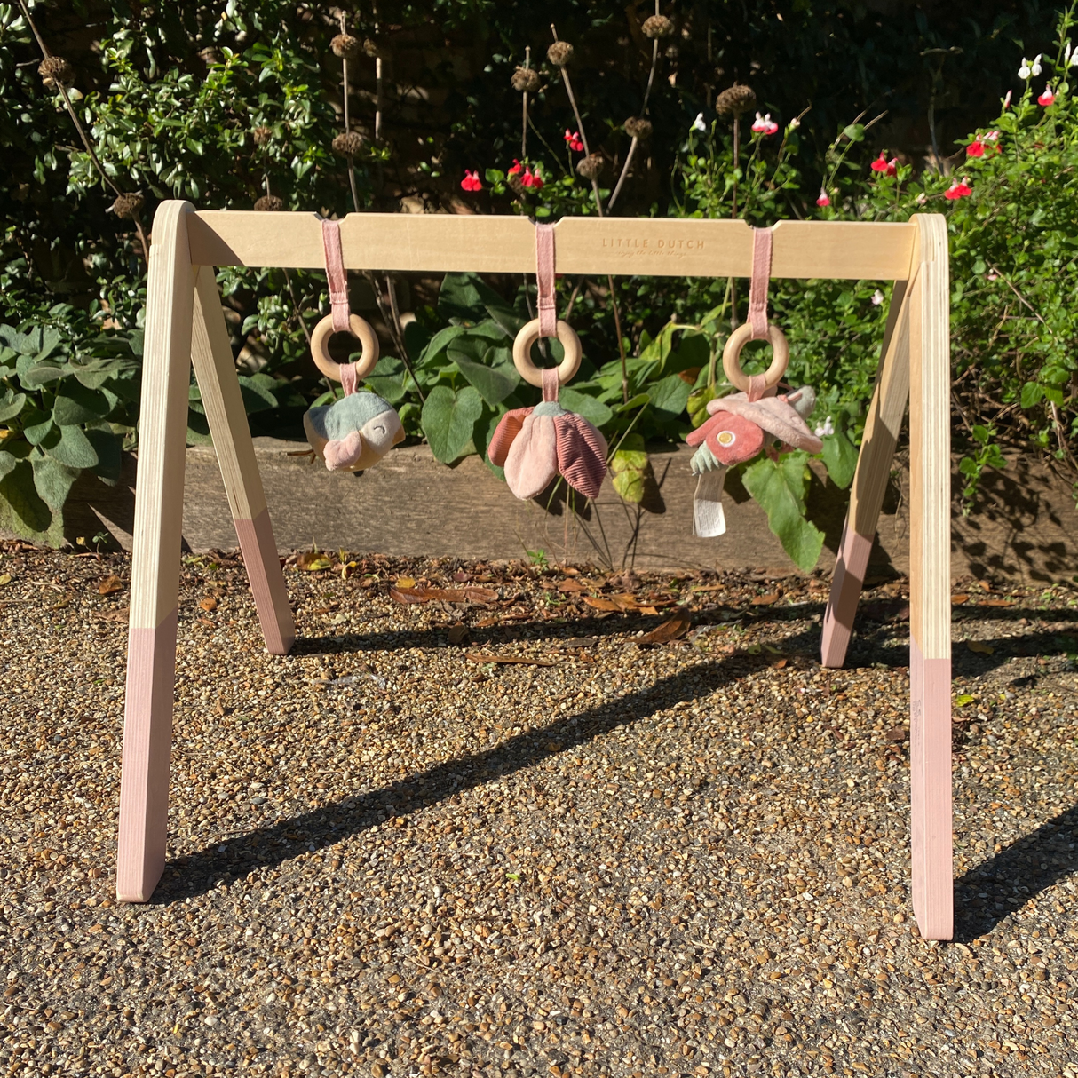 Little Dutch Baby Play Gym (Pink)