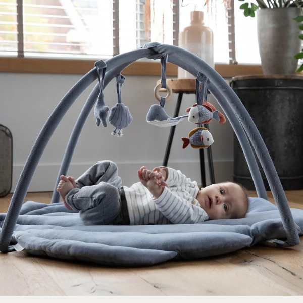 Little Dutch Baby Activity Gym, Gently Used / Blue