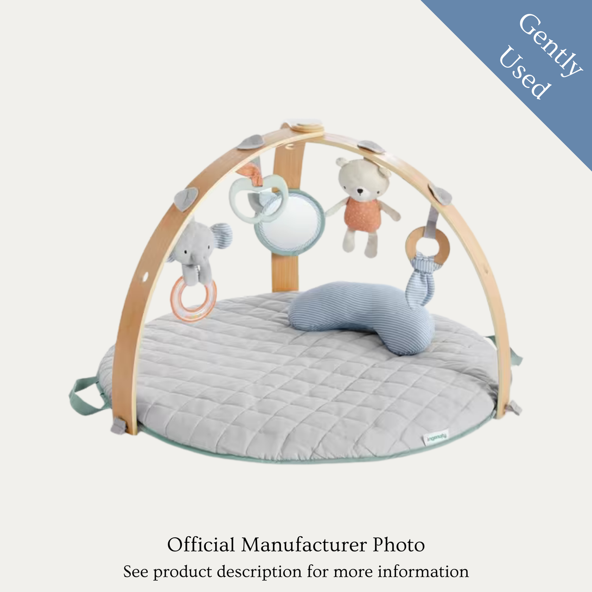 Ingenuity Baby Gym, Gently Used
