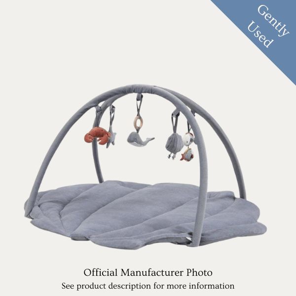 Little Dutch Baby Activity Gym, Gently Used / Blue