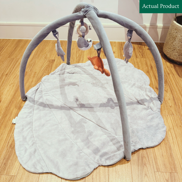 Little Dutch Baby Activity Gym, Gently Used / Blue