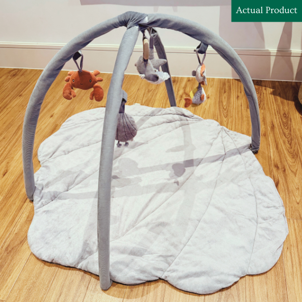 Little Dutch Baby Activity Gym, Gently Used / Blue