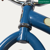 Trybike Balance Bike