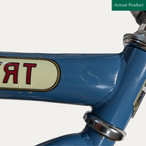 Trybike Balance Bike