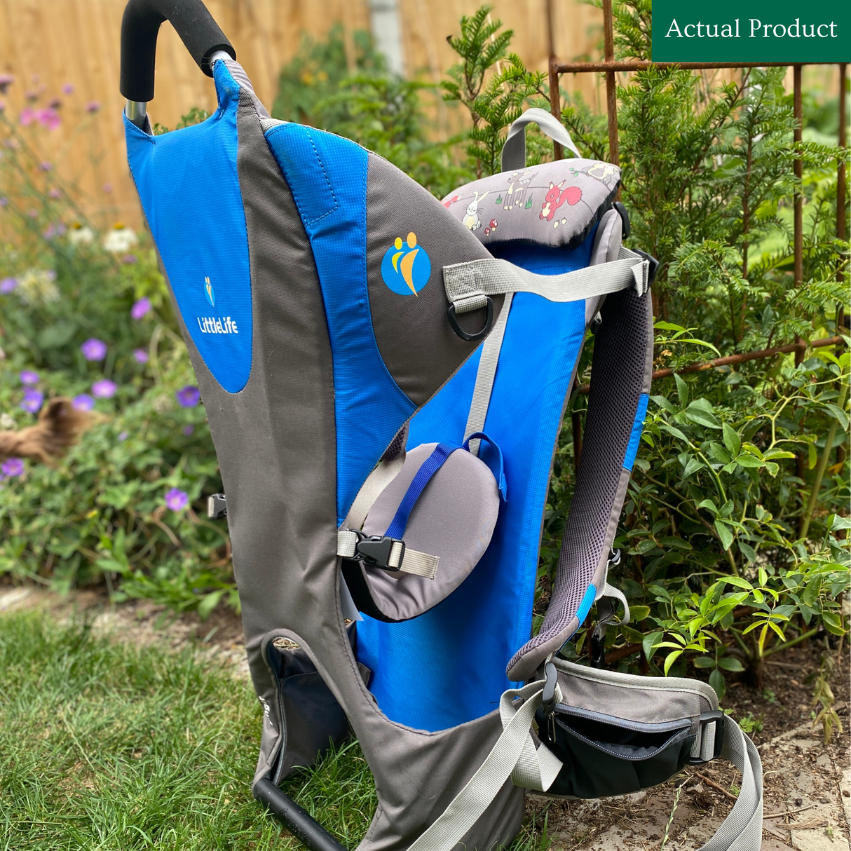 LittleLife Ranger S1 Child Carrier
