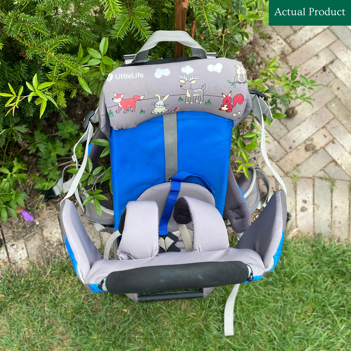 LittleLife Ranger S1 Child Carrier
