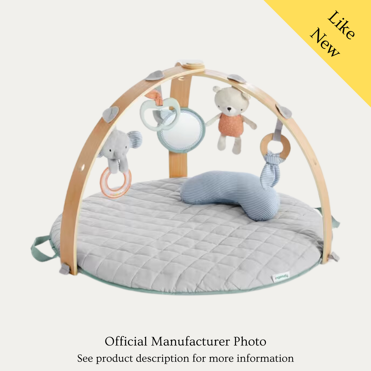 Ingenuity Reversible Activity Gym, Like New