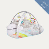 Skip Hop Silver Lining Activity Gym, Gently Used / Multi