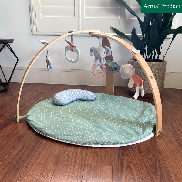 Ingenuity Reversible Activity Gym, Like New