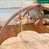 Little Dutch Baby Fairy Play Gym, Gently Used / Pink