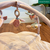 Little Dutch Baby Fairy Play Gym, Gently Used / Pink