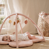 Little Dutch Baby Fairy Play Gym, Gently Used / Pink
