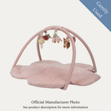 Little Dutch Baby Fairy Play Gym, Gently Used / Pink