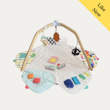 LOVEVERY Play Gym (no tent), Like New