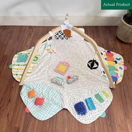 LOVEVERY Play Gym (no tent), Like New