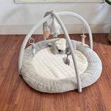 Mamas & Papas Welcome To The World Play Gym, Like New / Grey