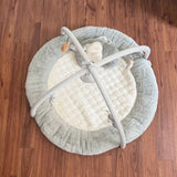 Mamas & Papas Welcome To The World Play Gym, Like New / Grey